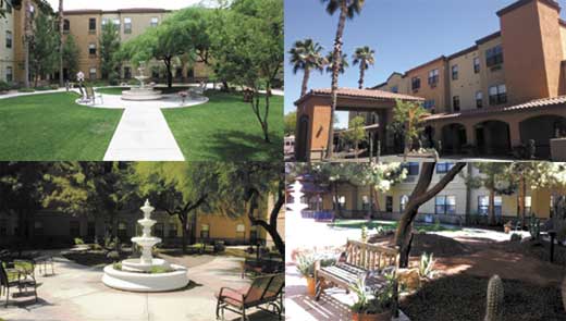desert flower assisted living